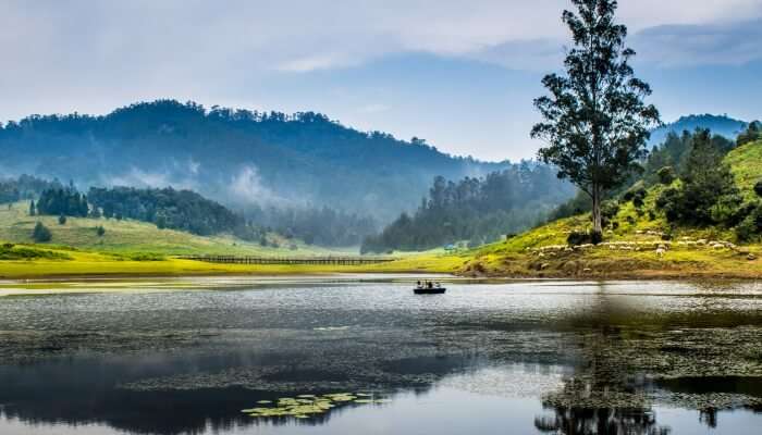 Top 25 Things To Do In Kodaikanal